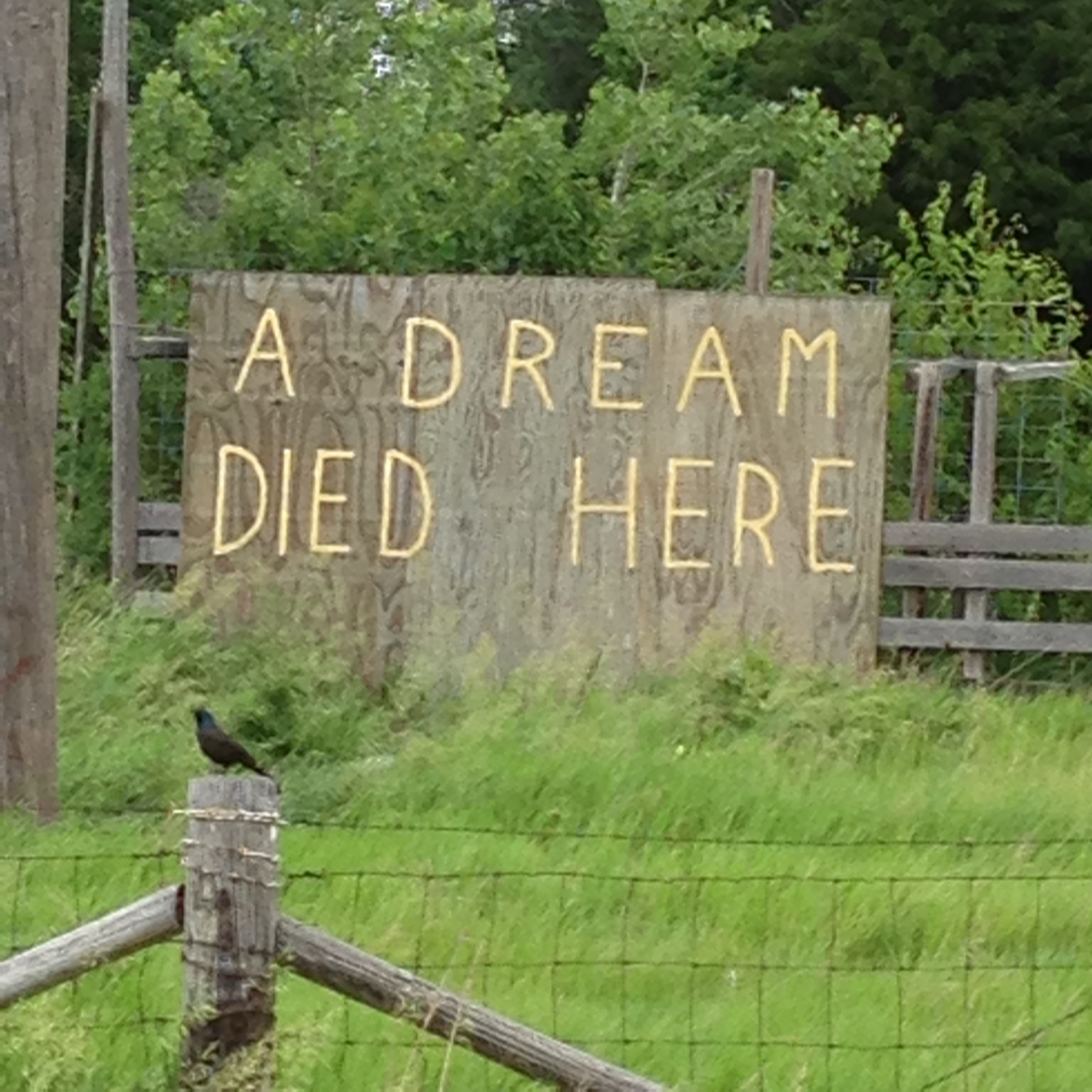 Hand-painted sign reading A DREAM DIED HERE on a small property in Nebraska