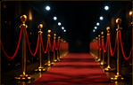 Velvet rope event entrance